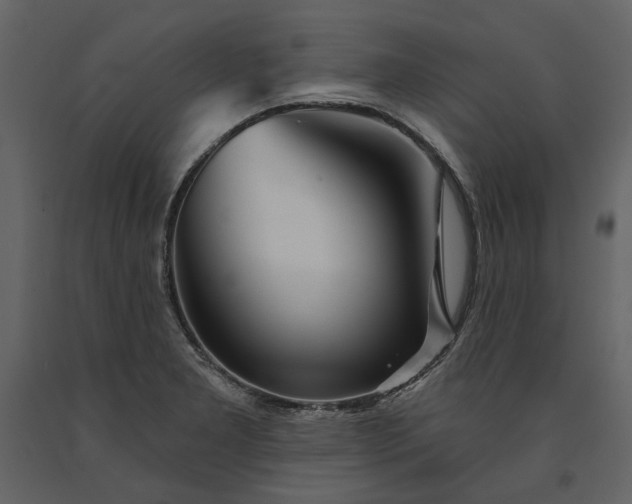 X0000091231277200708231646