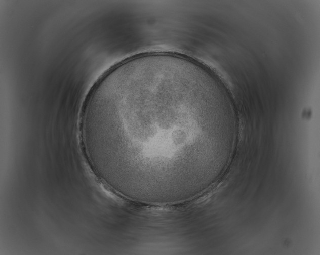 X0000091231278200708231646