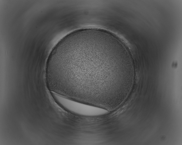 X0000091231279200708231646