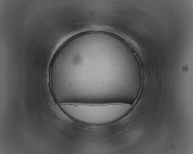 X0000091231280200708231646