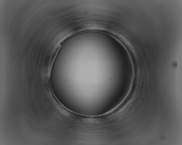 X0000091231281200708231646
