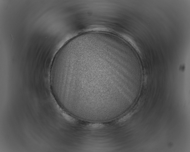 X0000091231282200708231646