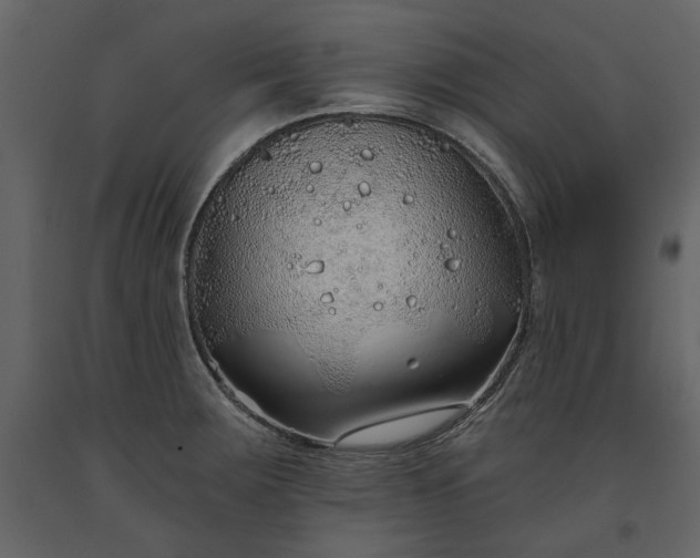 X0000091231283200708231646