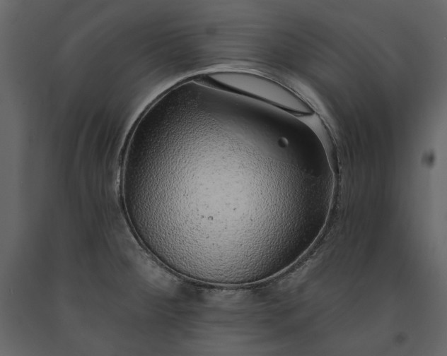 X0000091231284200708231646