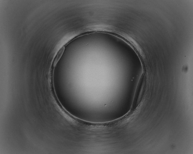 X0000091231285200708231646