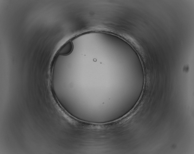 X0000091231286200708231646