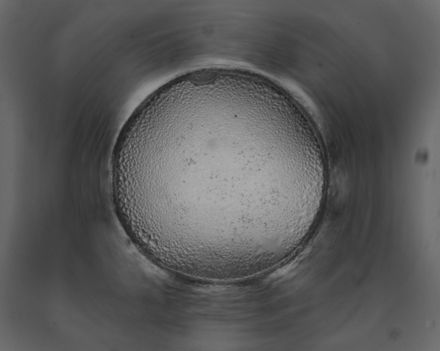 X0000091231287200708231646