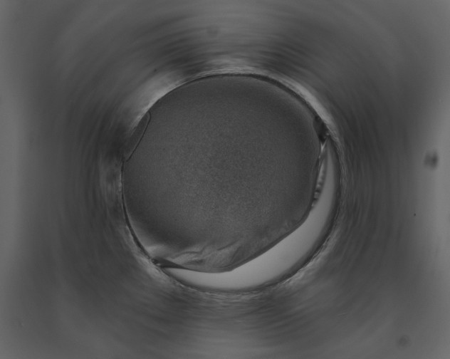 X0000091231289200708231646