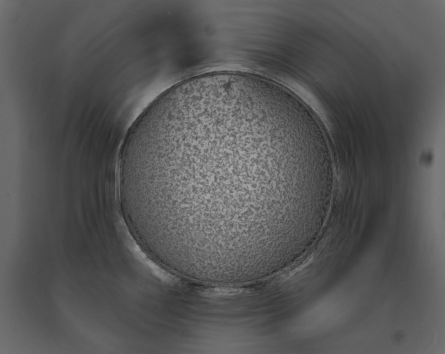 X0000091231290200708231646