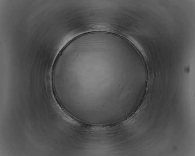 X0000091231291200708231646