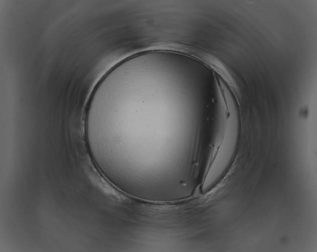 X0000091231292200708231646