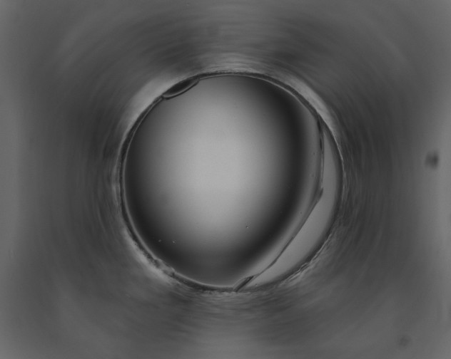 X0000091231293200708231646