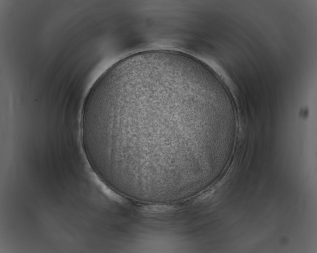 X0000091231294200708231646