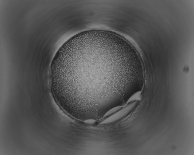 X0000091231295200708231646