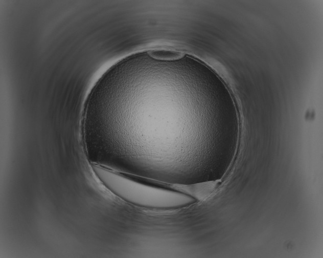 X0000091231296200708231646