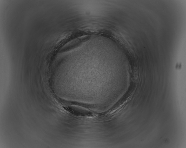X0000091231297200708231645