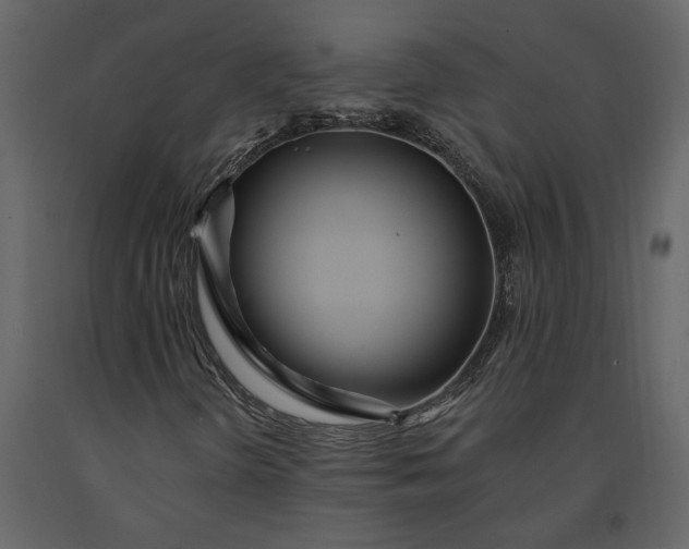 X0000091231298200708231645