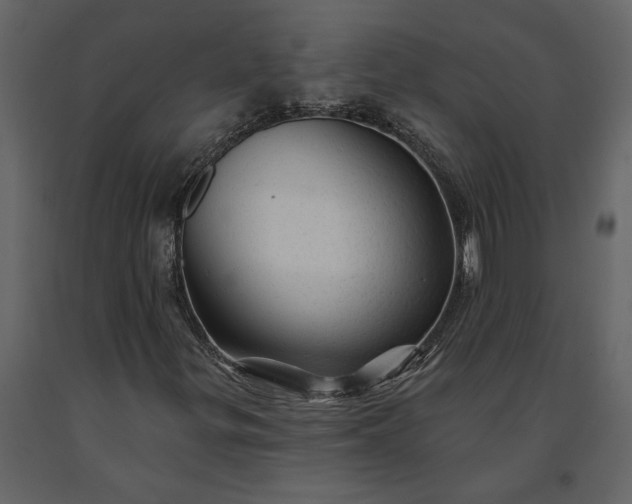 X0000091231299200708231645
