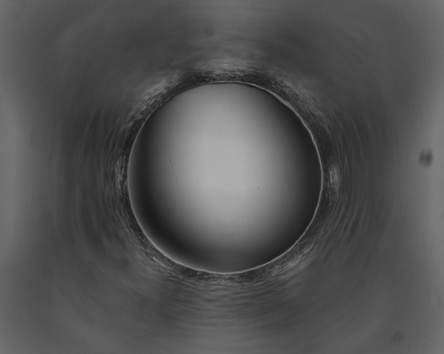 X0000091231300200708231645
