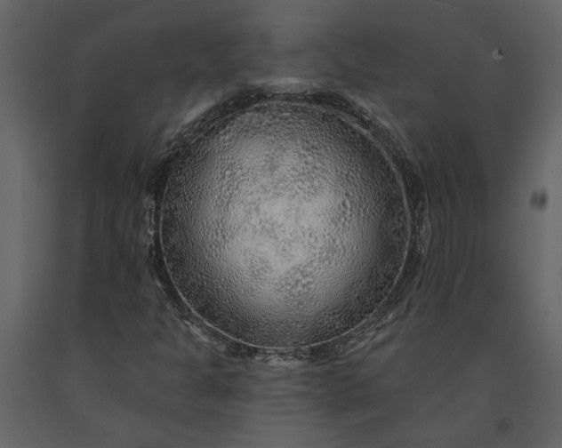 X0000091231301200708231645
