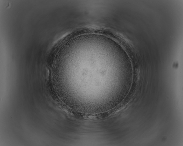 X0000091231302200708231645