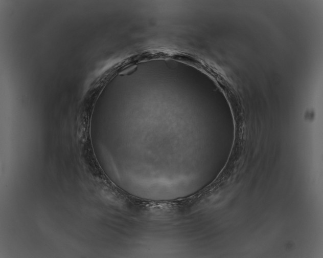 X0000091231303200708231645