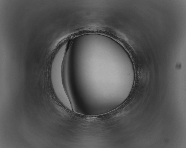 X0000091231304200708231645
