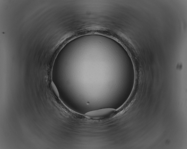 X0000091231305200708231645