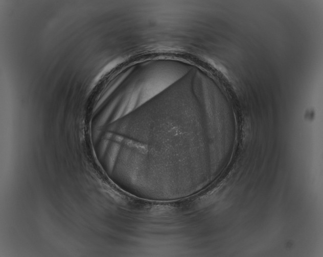 X0000091231306200708231645