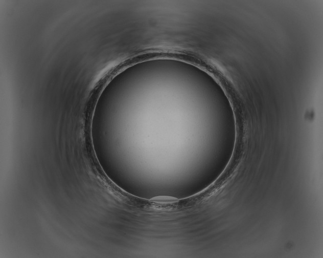X0000091231307200708231645