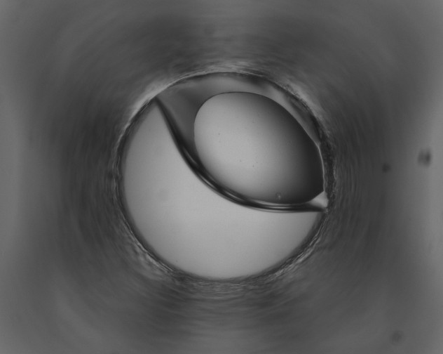 X0000091231308200708231645