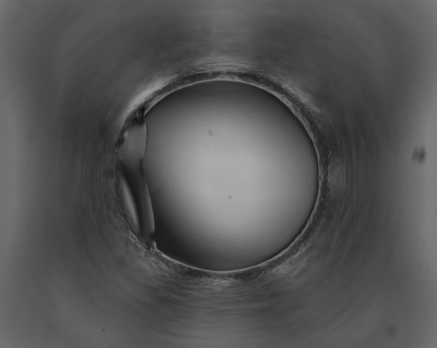 X0000091231309200708231645