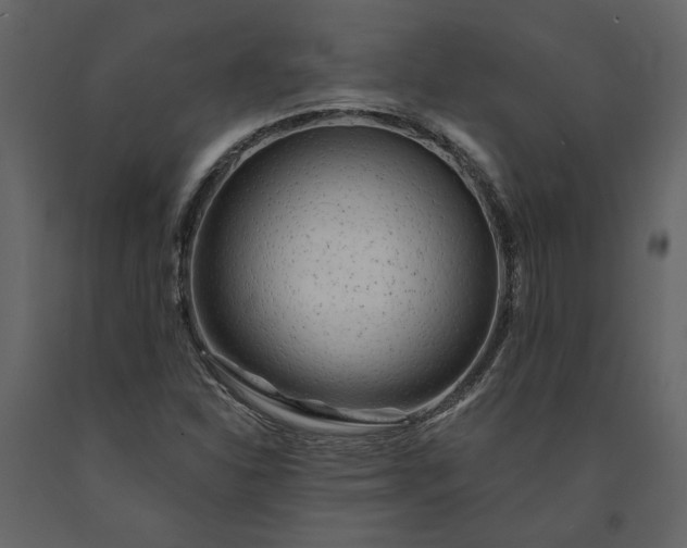 X0000091231310200708231645
