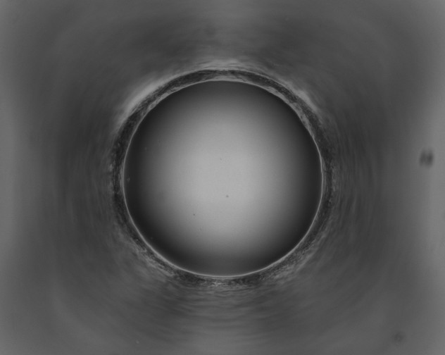 X0000091231311200708231645