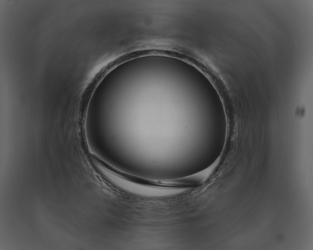X0000091231312200708231645