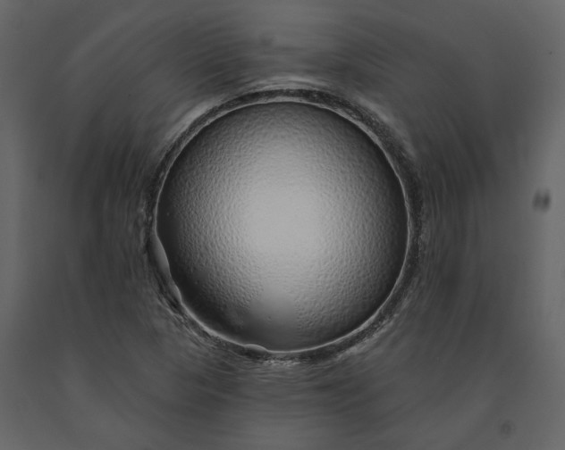 X0000091231313200708231645