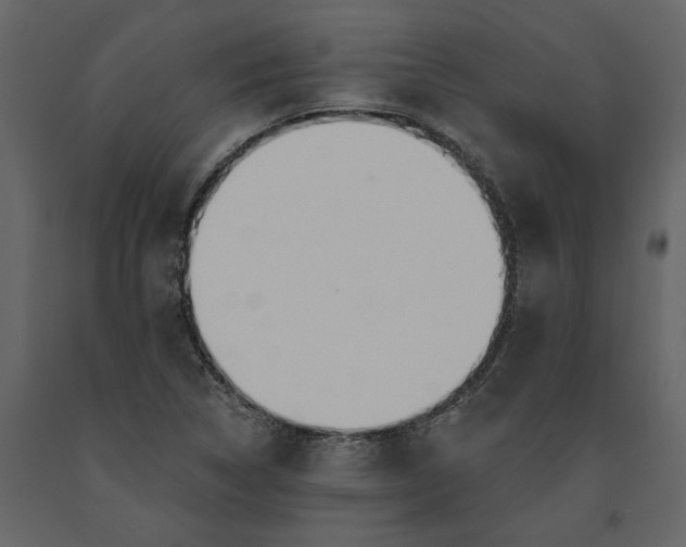 X0000091231314200708231645
