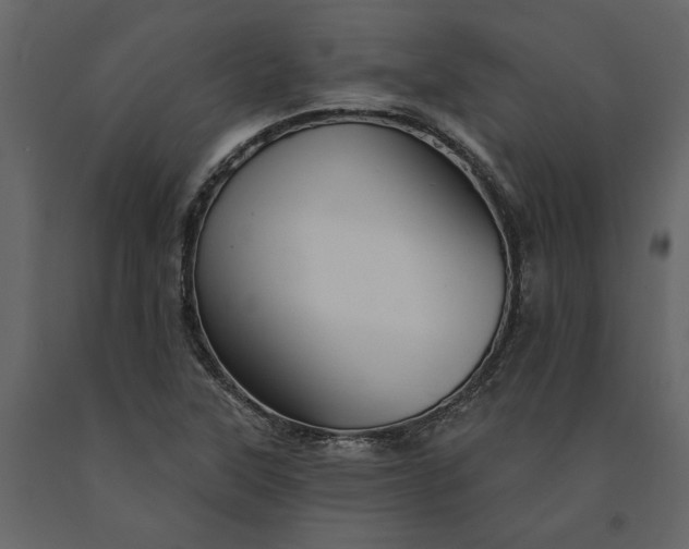 X0000091231315200708231645