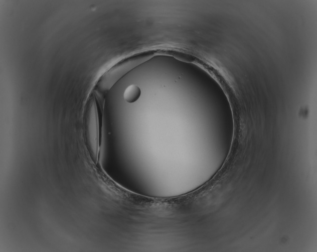 X0000091231316200708231645