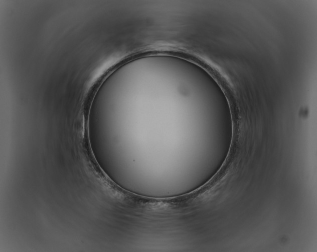 X0000091231317200708231645