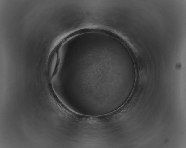 X0000091231319200708231645