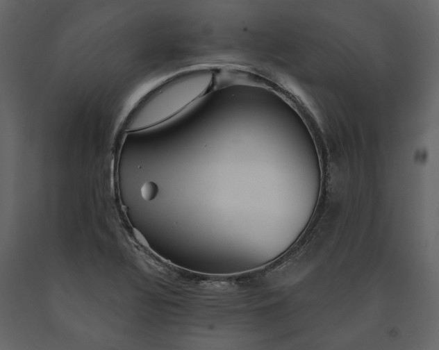 X0000091231320200708231645