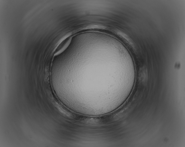 X0000091231321200708231645