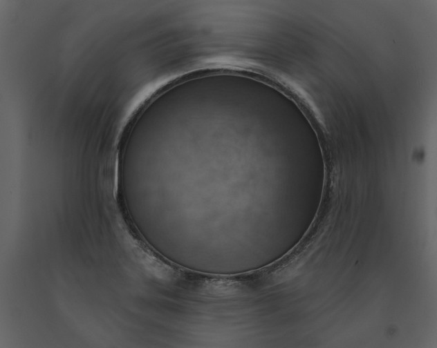 X0000091231323200708231646