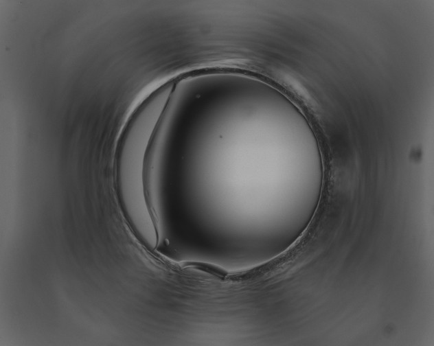 X0000091231324200708231646