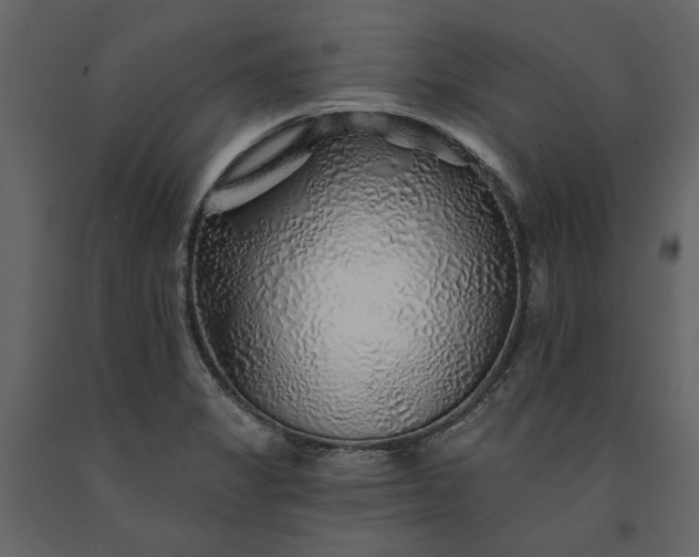 X0000091231325200708231646