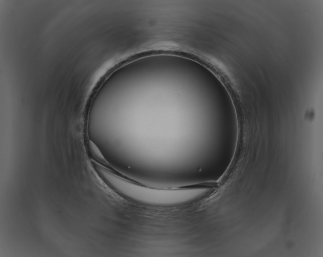 X0000091231326200708231646