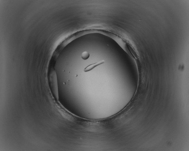 X0000091231328200708231646