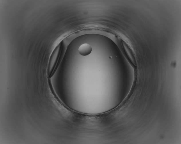 X0000091231330200708231646