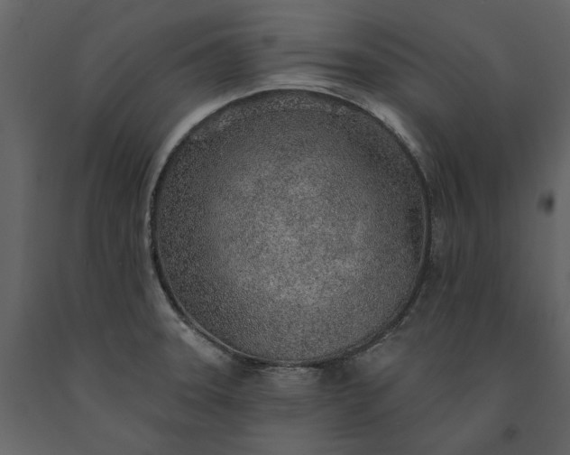 X0000091231331200708231646